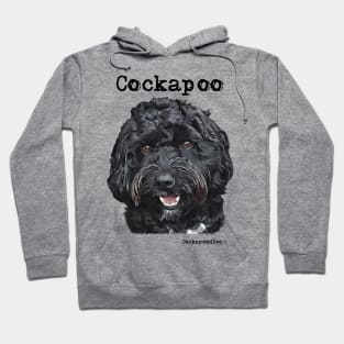 Black Cockapoo / Spoodle and Doodle Dog Hoodie